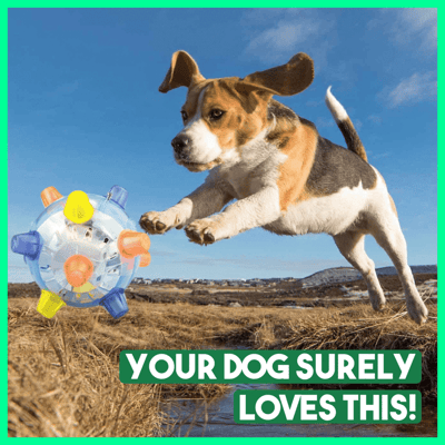JumpBall™ Paws-on Playtime