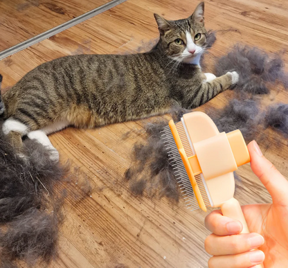 ZenBrush™ - Removes Fur & Relieves Pain