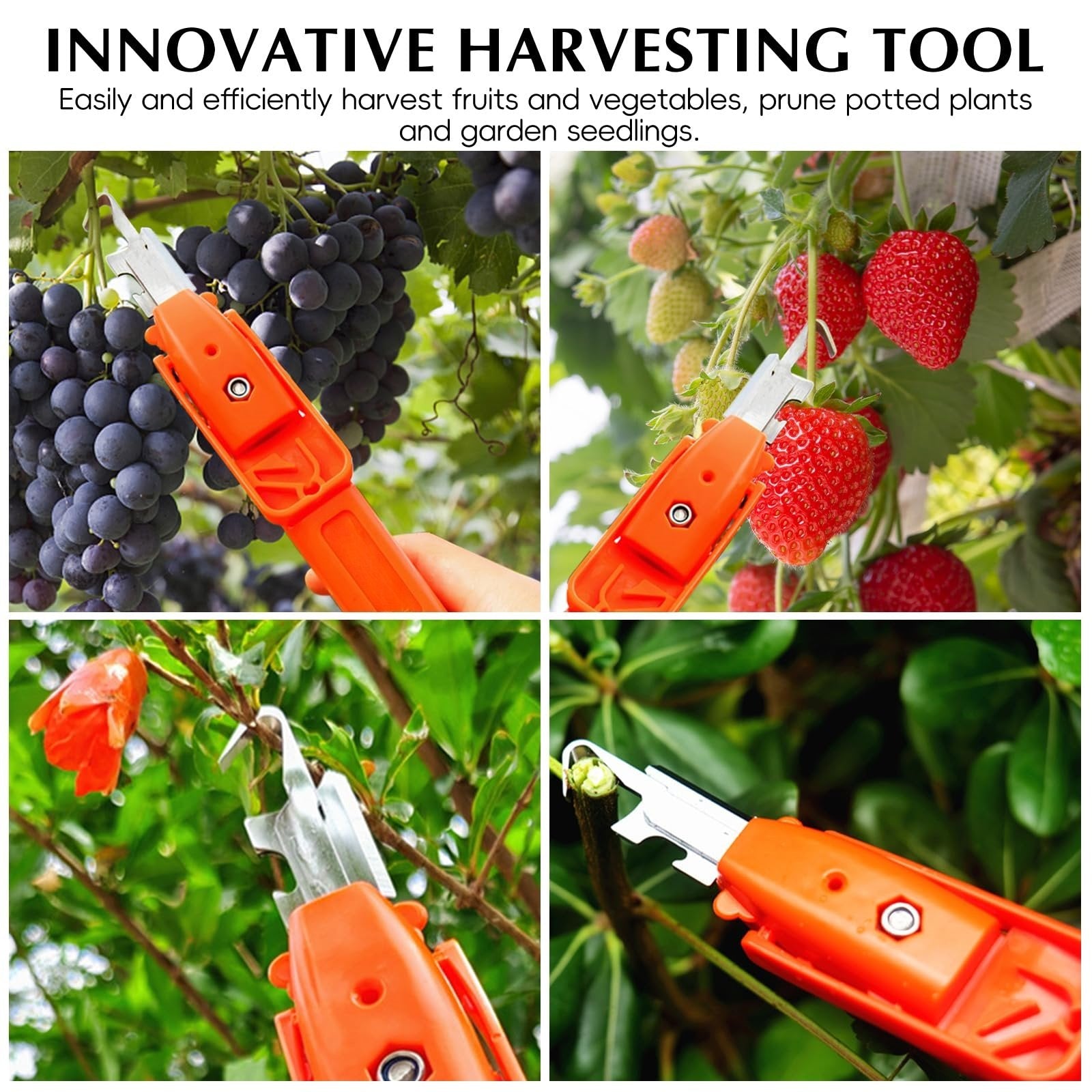 Berry Picking Tools