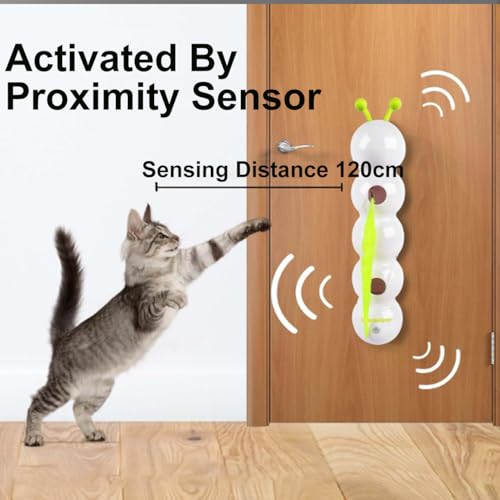 🐱Interactive Electric Caterpillar Cat Toy