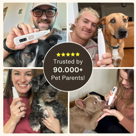 New Dog Paw Trimmer With LED Light