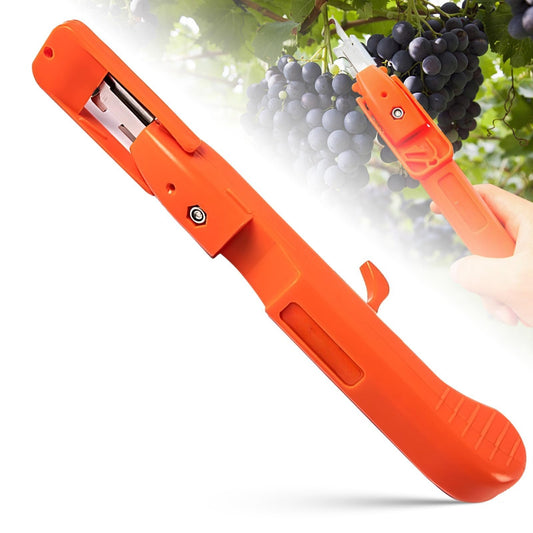 Berry Picking Tools