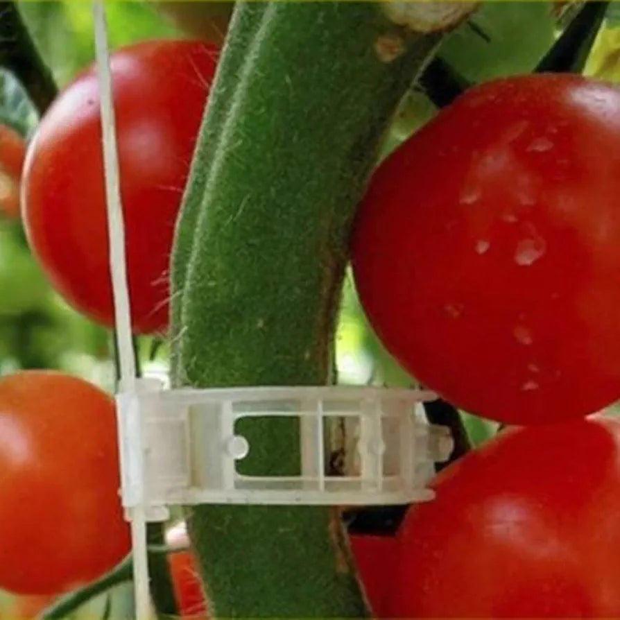 Winmany 100 Pcs Garden Plant Clips for Tomatoes - Connect Plants, Twines, Trellis, Cages, Climbing Plants and Vegetables