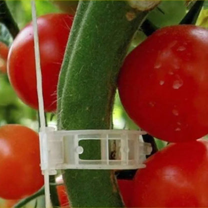 Winmany 100 Pcs Garden Plant Clips for Tomatoes - Connect Plants, Twines, Trellis, Cages, Climbing Plants and Vegetables