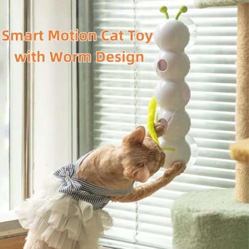 🐱Interactive Electric Caterpillar Cat Toy