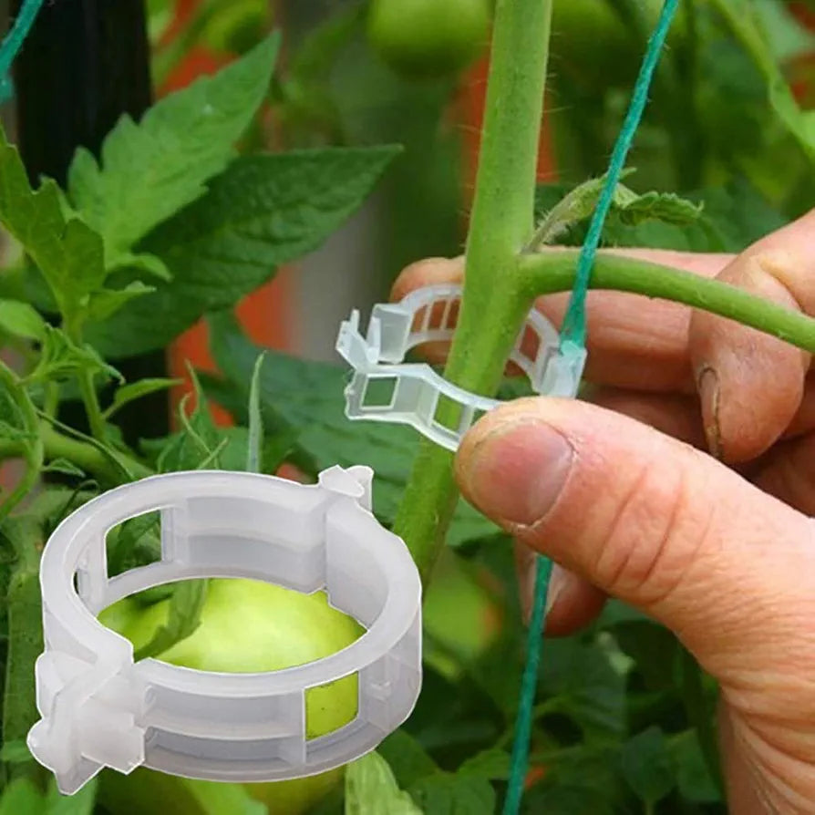 Winmany 100 Pcs Garden Plant Clips for Tomatoes - Connect Plants, Twines, Trellis, Cages, Climbing Plants and Vegetables