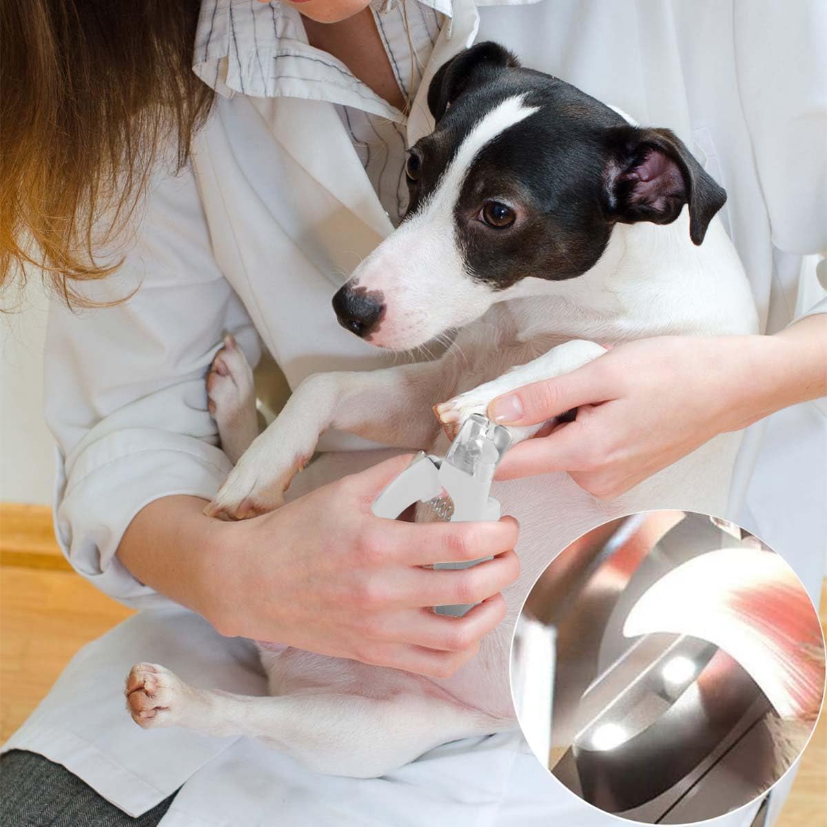 Pet multifunctional nail clippers