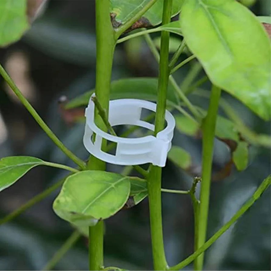 Winmany 100 Pcs Garden Plant Clips for Tomatoes - Connect Plants, Twines, Trellis, Cages, Climbing Plants and Vegetables