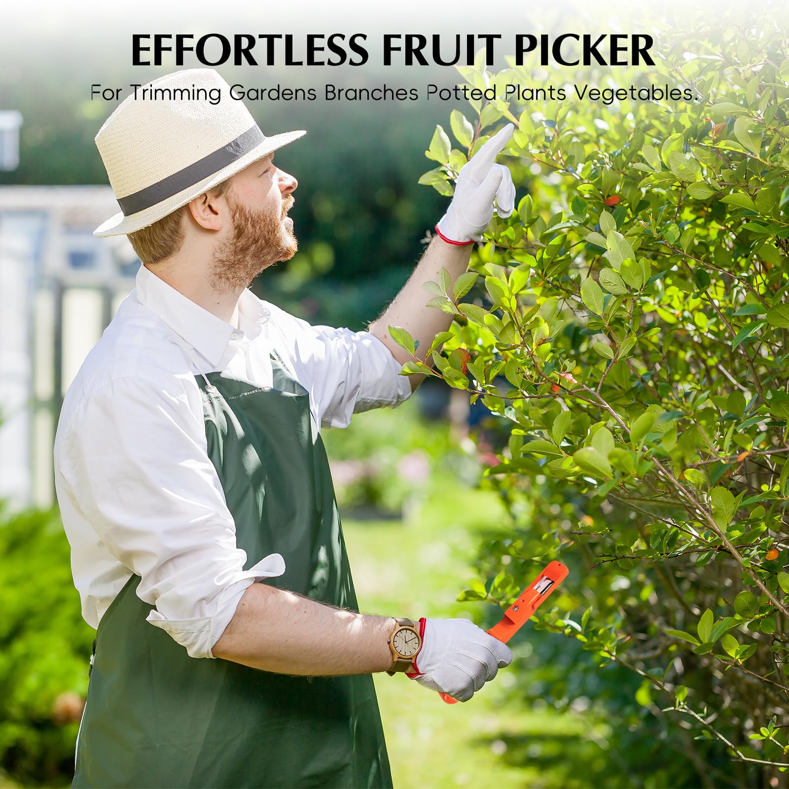Berry Picking Tools