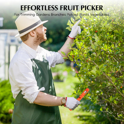 Berry Picking Tools