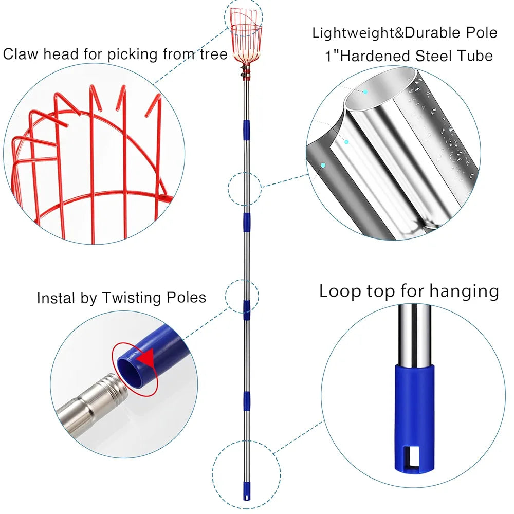 DonSail Fruit Picker Pole Tool with Basket Long Handle, 35-65 Inch Adjustable Apple Orange Picker Pole Tool with Basket for Avocado Acorn Lemon Pear Mango Tree Picker