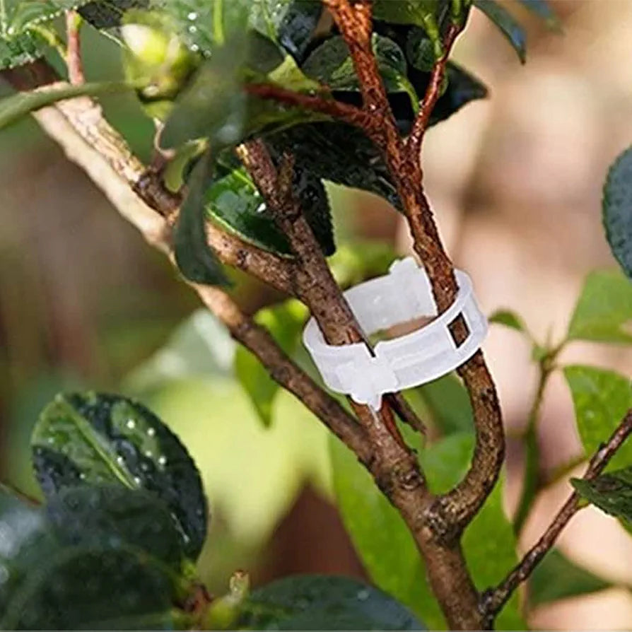 Winmany 100 Pcs Garden Plant Clips for Tomatoes - Connect Plants, Twines, Trellis, Cages, Climbing Plants and Vegetables