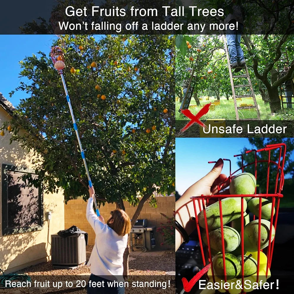 DonSail Fruit Picker Pole Tool with Basket Long Handle, 35-65 Inch Adjustable Apple Orange Picker Pole Tool with Basket for Avocado Acorn Lemon Pear Mango Tree Picker