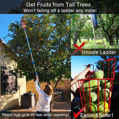 DonSail Fruit Picker Pole Tool with Basket Long Handle, 35-65 Inch Adjustable Apple Orange Picker Pole Tool with Basket for Avocado Acorn Lemon Pear Mango Tree Picker