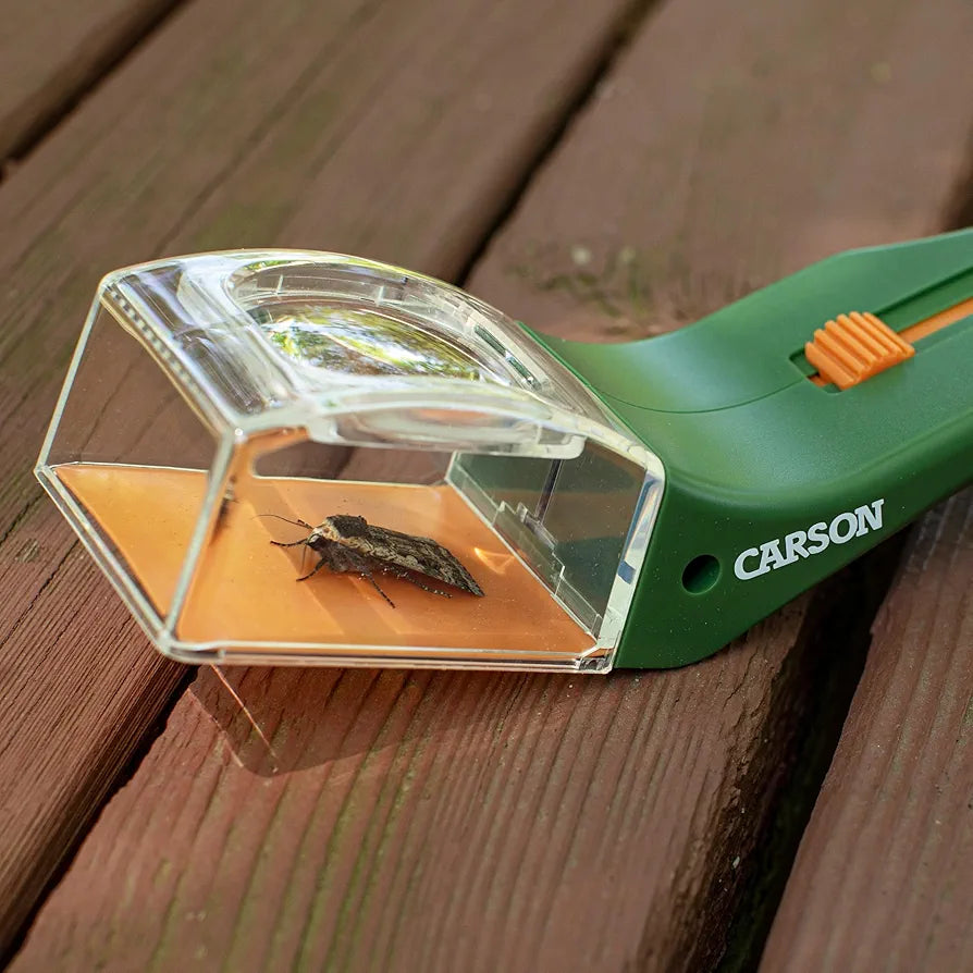 Carson BugView 5x Magnifier Quick-Release Bug Catching Tool, Stem Educational Toy for Kids and Adults 