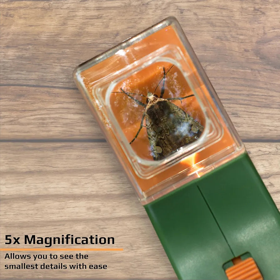 Carson BugView 5x Magnifier Quick-Release Bug Catching Tool, Stem Educational Toy for Kids and Adults 