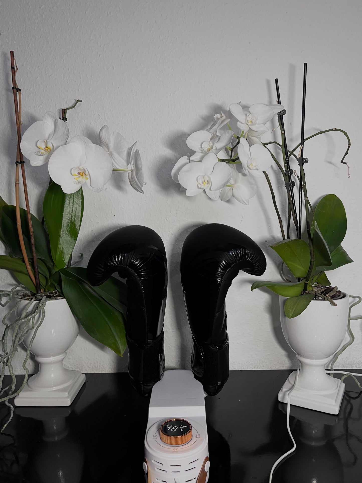 SoleDryer™ Moisture-Free Walks