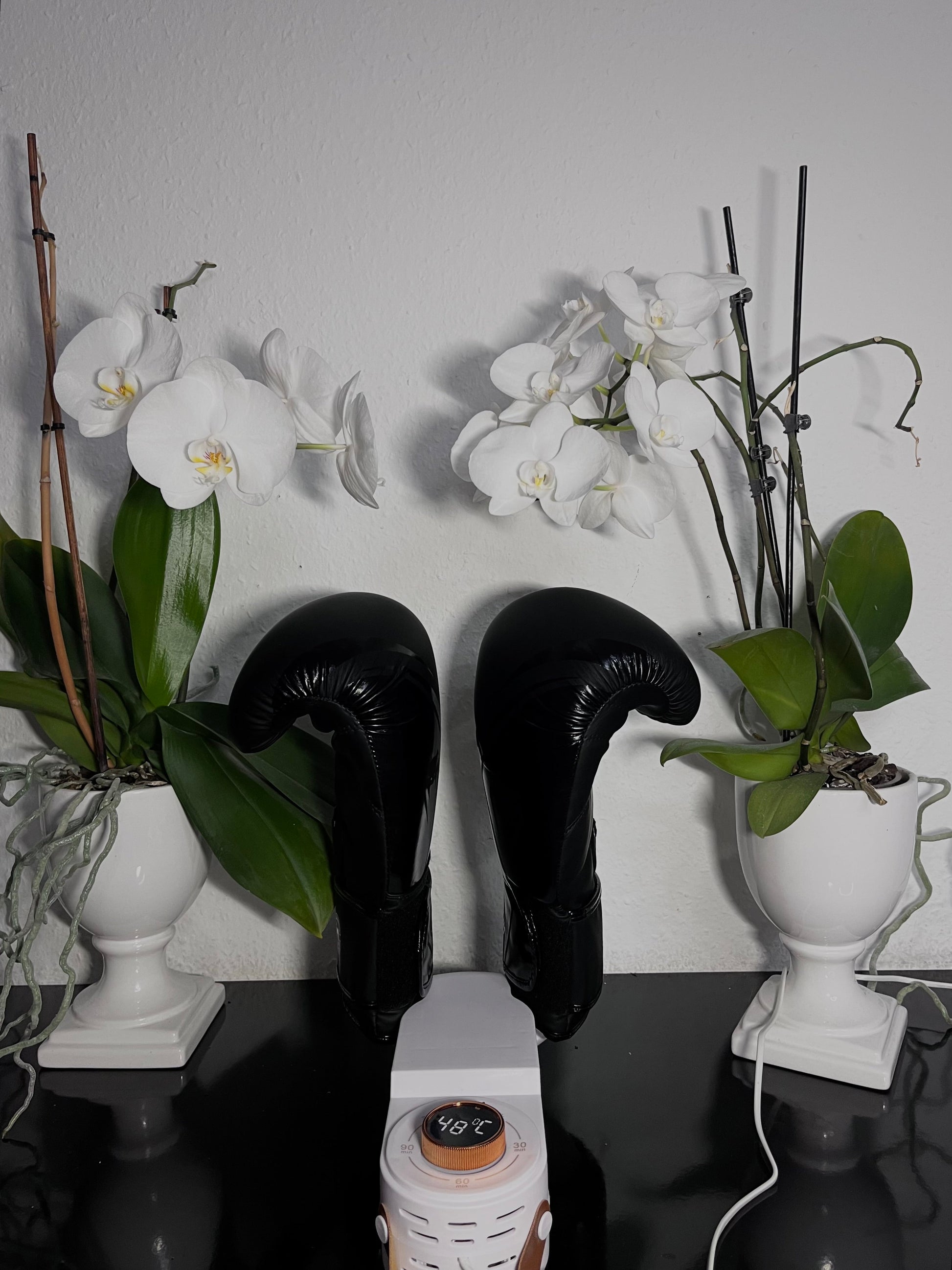 SoleDryer™ Moisture-Free Walks