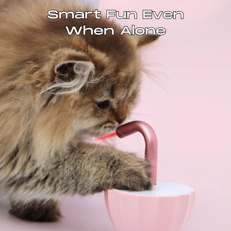 LaserPlay™ Interactive Cat Entertainment