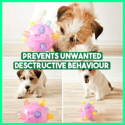 JumpBall™ Paws-on Playtime