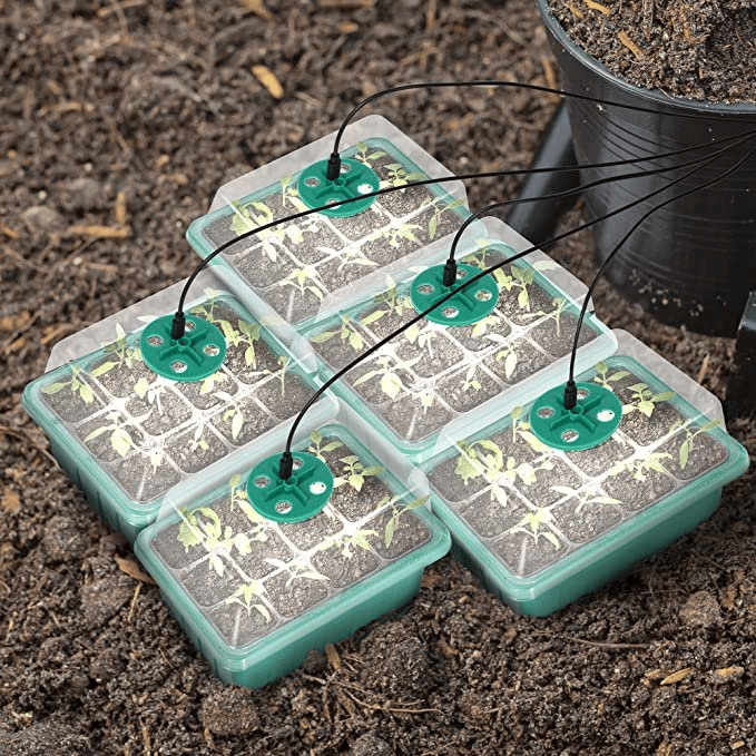 Adjustable Humidity Seed Starter Trays