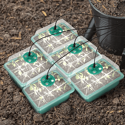 Adjustable Humidity Seed Starter Trays