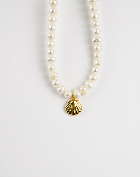 Sea Shell Pearl Necklace