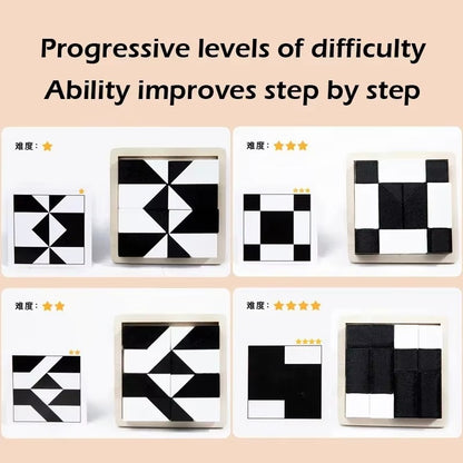 PictoCube Pocket-Size Dual-Color Logic Puzzle